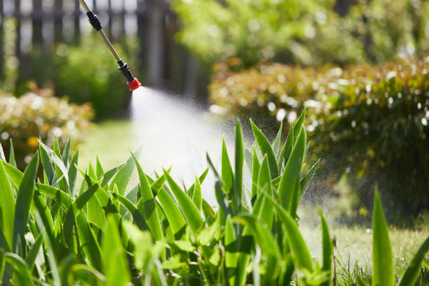 24/7 Emergency Wasp Removal experts in Crowley Lake, CA