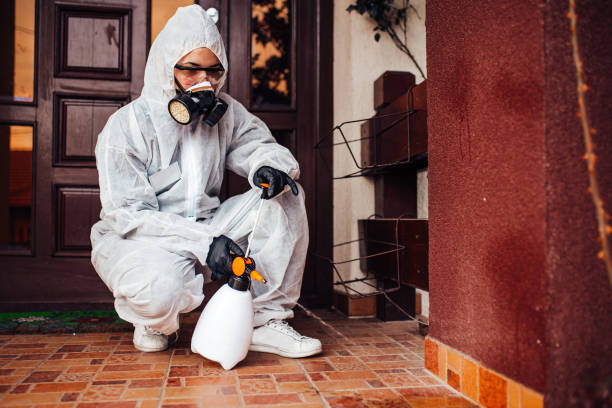 Reliable Wasp Removal contractor in Crowley Lake, CA by Show Me Pest Control